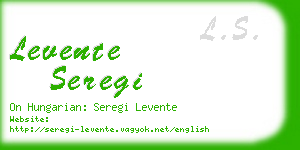 levente seregi business card